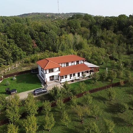 Pensiunea Emelys, Iasi Barnova エクステリア 写真
