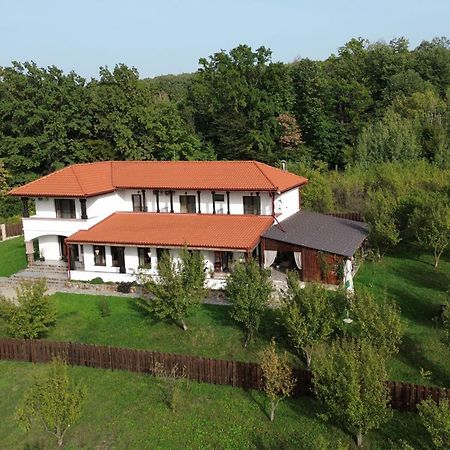 Pensiunea Emelys, Iasi Barnova エクステリア 写真