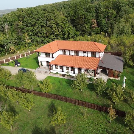 Pensiunea Emelys, Iasi Barnova エクステリア 写真