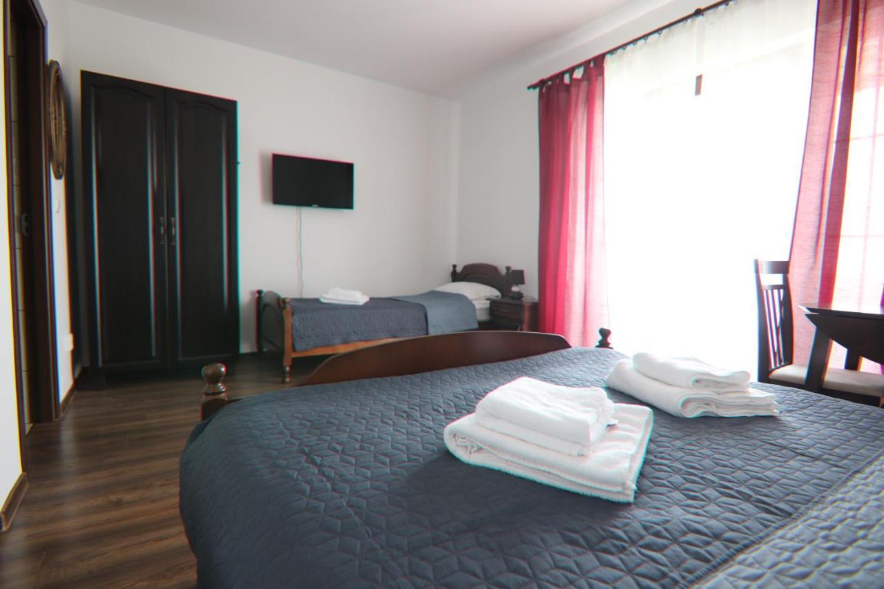 Pensiunea Emelys, Iasi Barnova エクステリア 写真