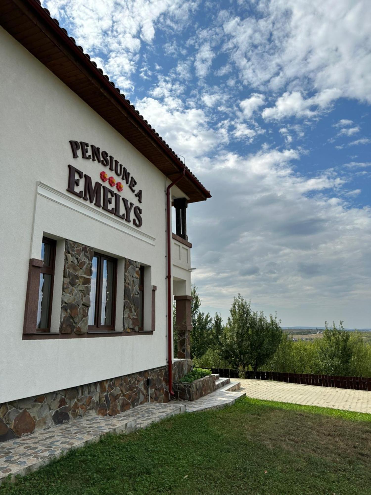 Pensiunea Emelys, Iasi Barnova エクステリア 写真