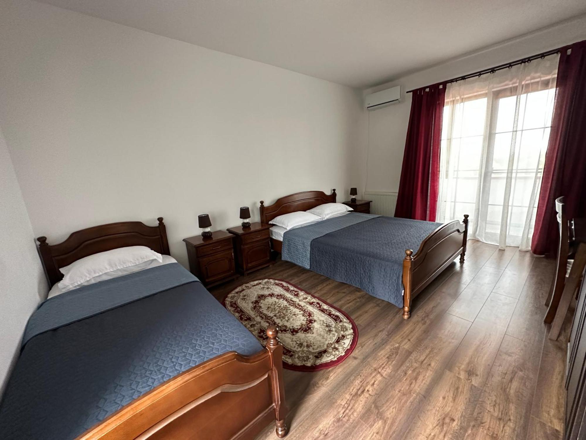Pensiunea Emelys, Iasi Barnova エクステリア 写真