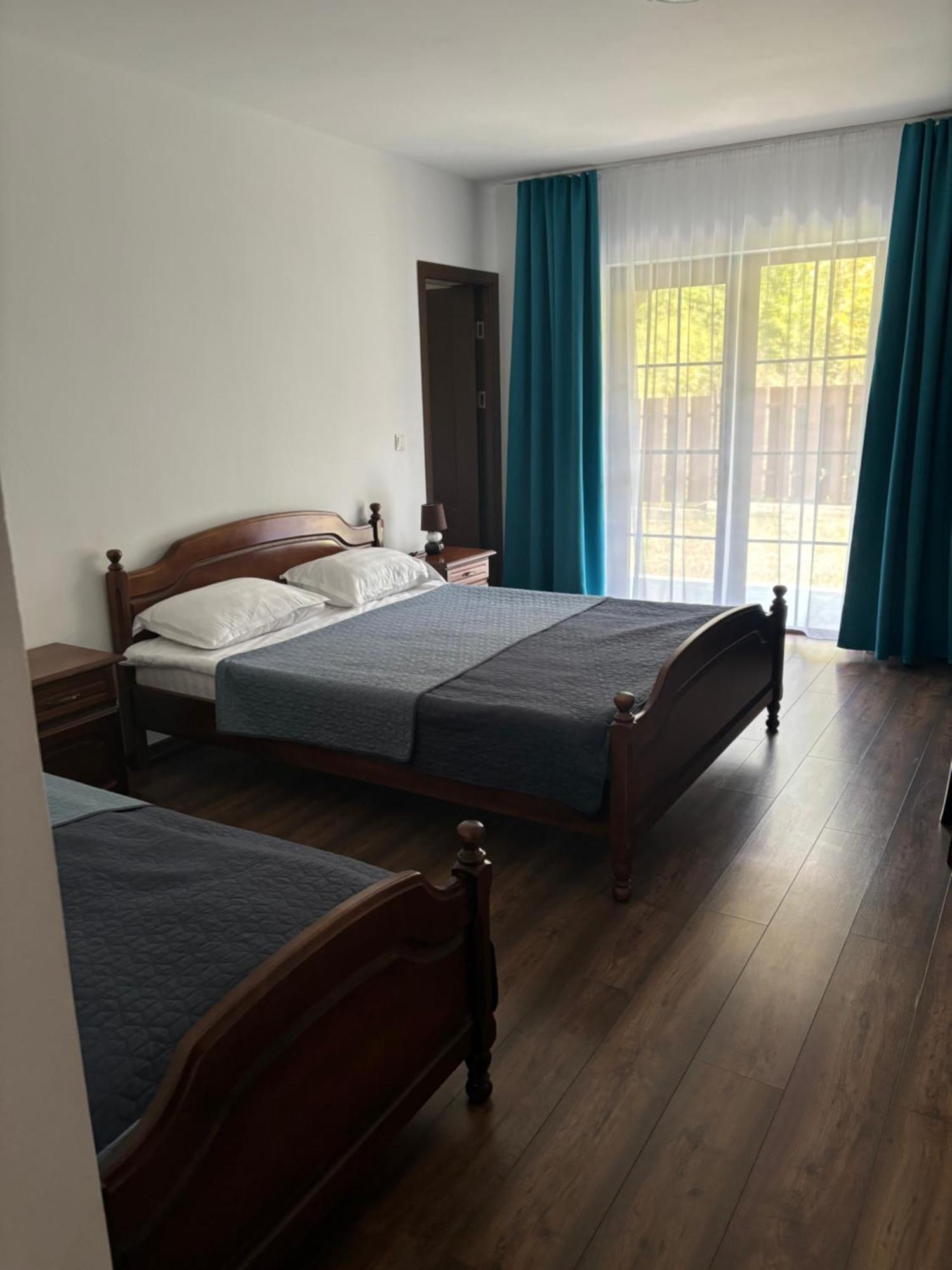 Pensiunea Emelys, Iasi Barnova エクステリア 写真