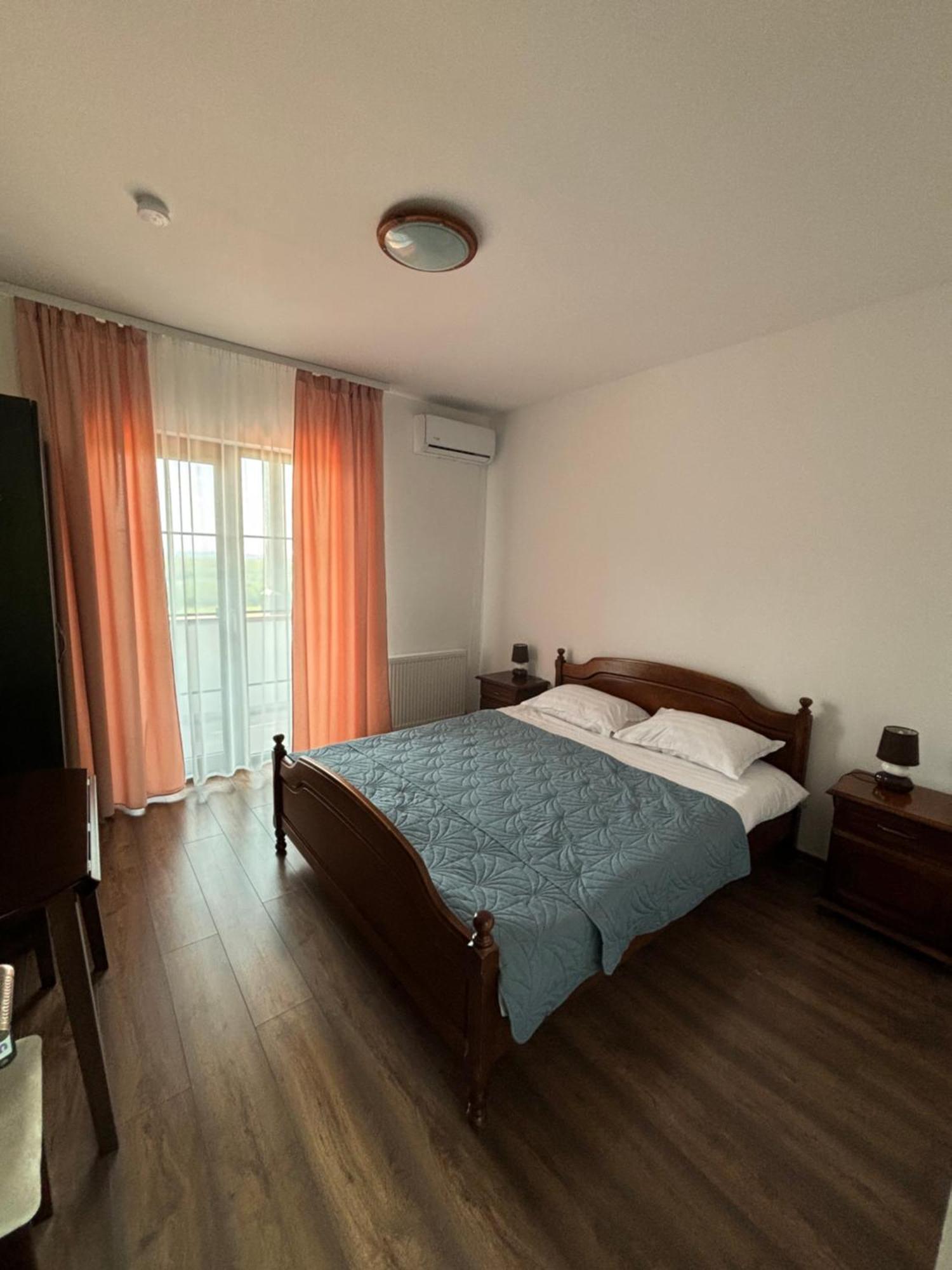 Pensiunea Emelys, Iasi Barnova エクステリア 写真