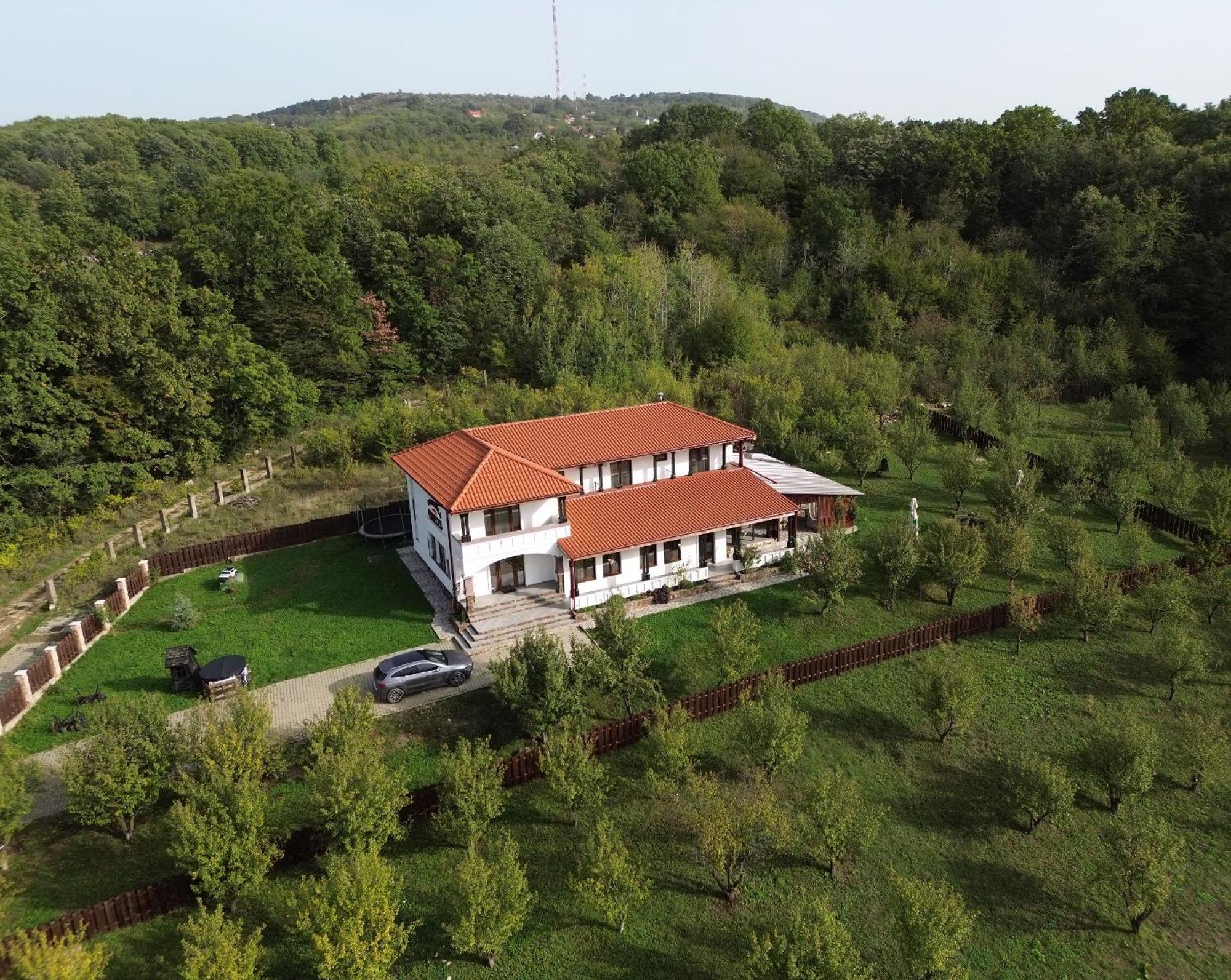 Pensiunea Emelys, Iasi Barnova エクステリア 写真