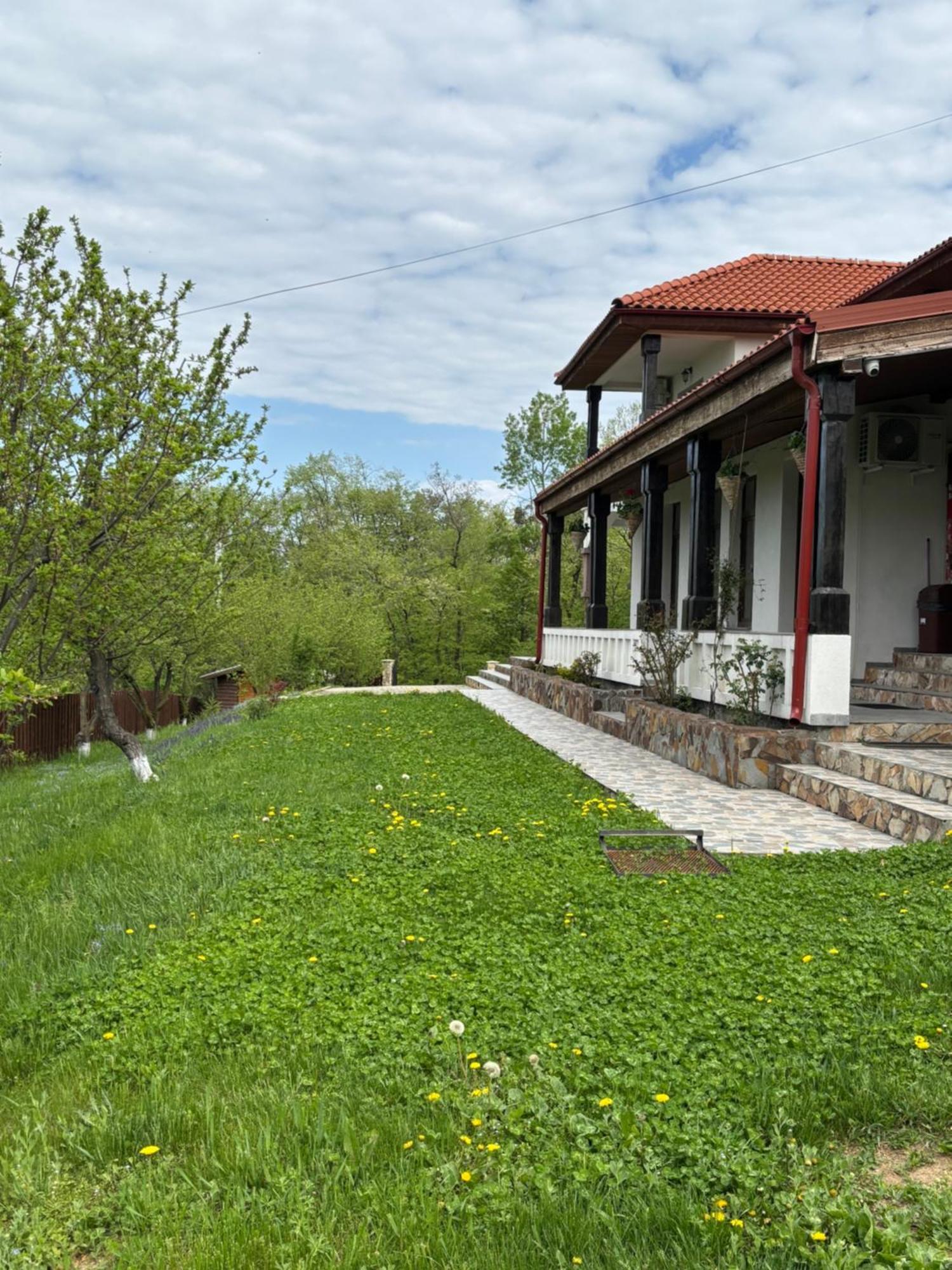 Pensiunea Emelys, Iasi Barnova エクステリア 写真