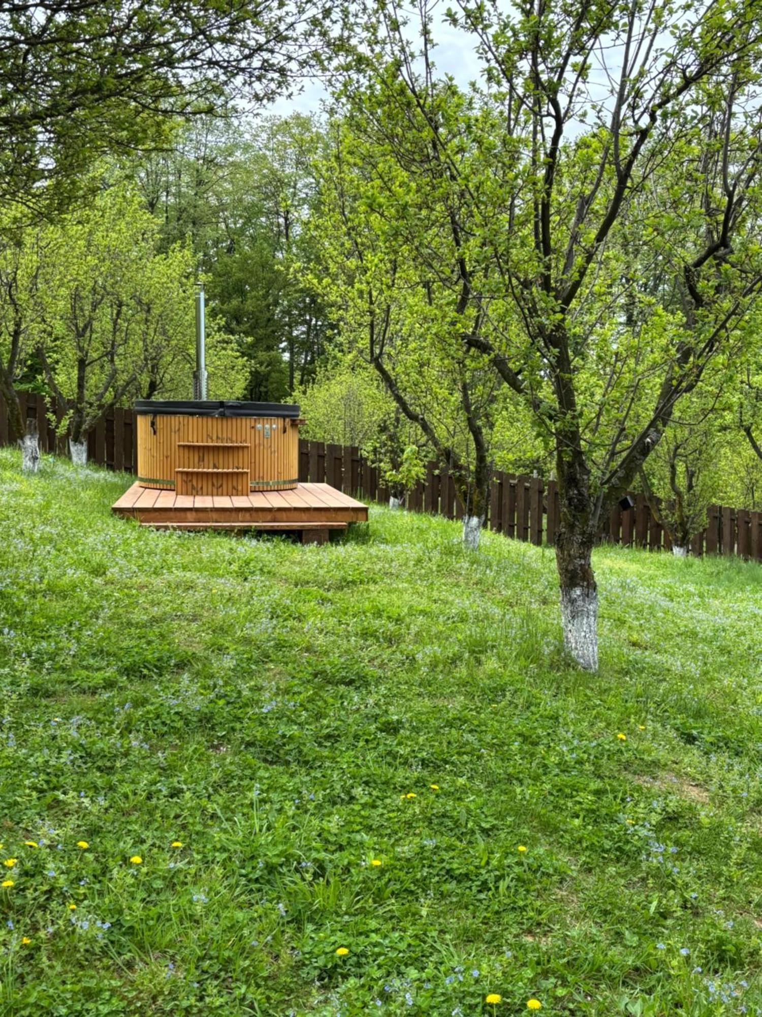 Pensiunea Emelys, Iasi Barnova エクステリア 写真