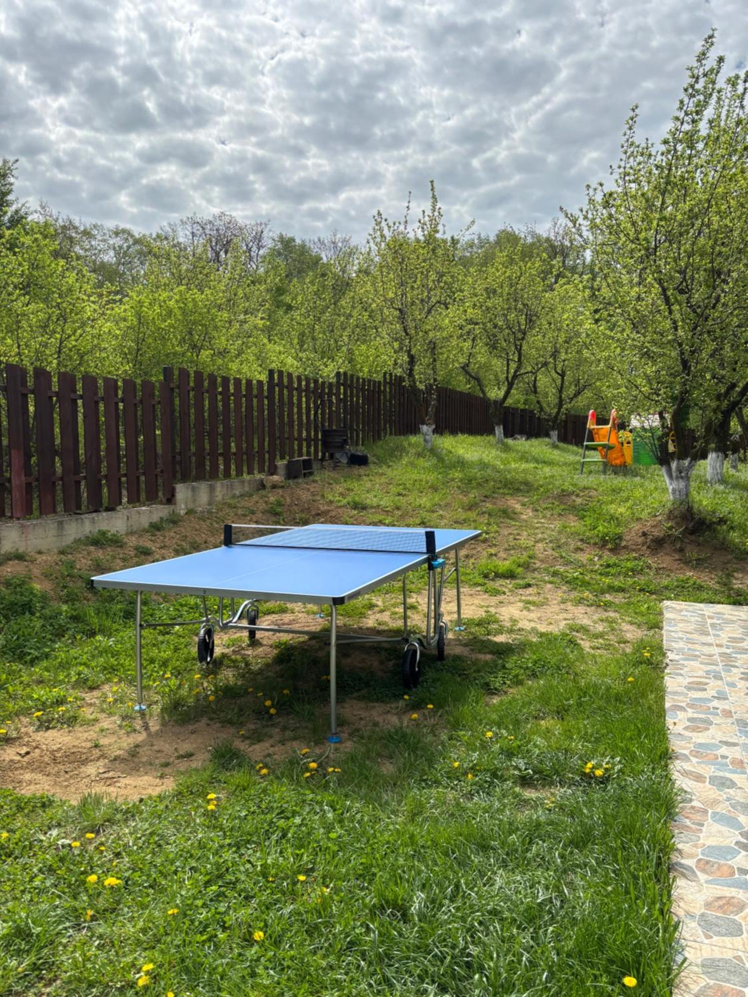 Pensiunea Emelys, Iasi Barnova エクステリア 写真